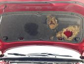 Mazda_3_odhlučnění_autohifi1