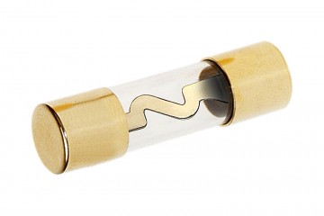 AGU-pojistka-zlata-10A-3